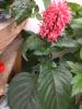 21 sept 2008 016