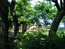 DSCF0519