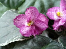 P1170225