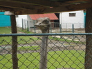 Picture 152