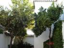 48 Hotel Pueblo Andaluz