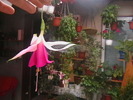 Picture 053