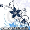 avatare%20poze%20flori%20cu%20numele%20flori%20flori%20pentru%20avatar%20imagini%20floare%20%20super