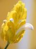 DSCF1677