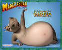 Madagascar-003[1]