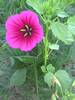PICT0006