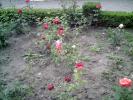 PICT0158(1)