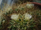 DSC00580