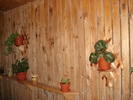 DSC09843