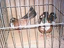 PICT0005