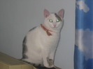 23 dec 2007 044