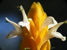 DSCF1734