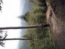 PICT0269