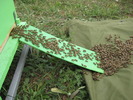IMG_0004 (2)