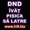 dnd%20invat%20pisica%20sa%20latre