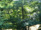 DSCF2643