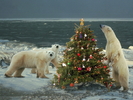 Christmas Wallpapers (139)