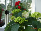 DSC02586