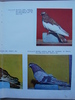 cresterea porumbeilor-peterfi 285