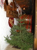 DSC01052