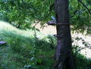 DSCF2670