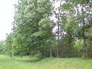 draganeasa09 070