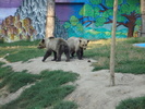 Picture 019