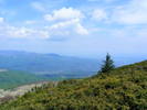 DSCF0327