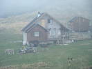 DSC00380