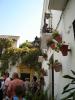 132 Cordoba