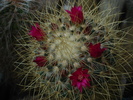 DSC01901
