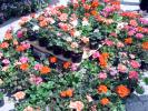 DSC00045