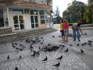 DSCN0168