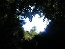 DSCF4096
