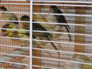 Copy of IMG_0033