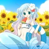 34