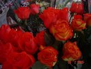 DSC05002