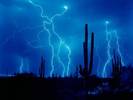 Imagini Desert Wallpapers Poze Peisaje Desktop[1]