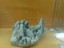 DSC00491