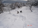 DSC08734