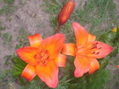 DSCI0816