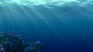 Finding Nemo (2003)-1