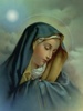 Virgin_Mary