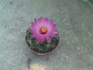Imag071