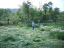 16.05.2009 001