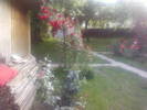 Fotografii-0096