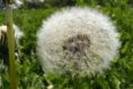 images12