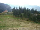 DSC00324