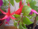 Picture 020