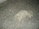 DSC05991